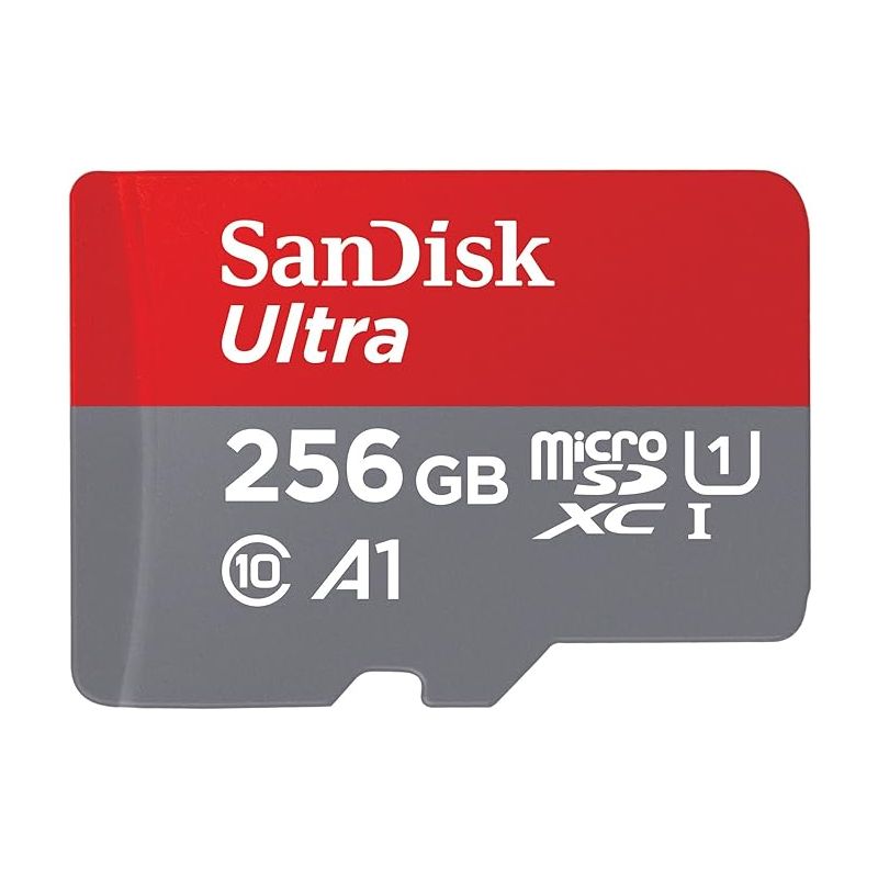 SanDisk memory card 256 GB