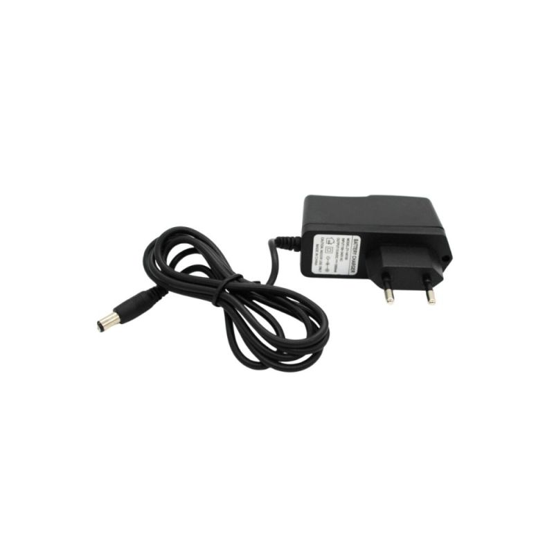 ZY-138100, 13.8V, 1000mA DC Adapter, AC 100-240V Input, Battery Charger