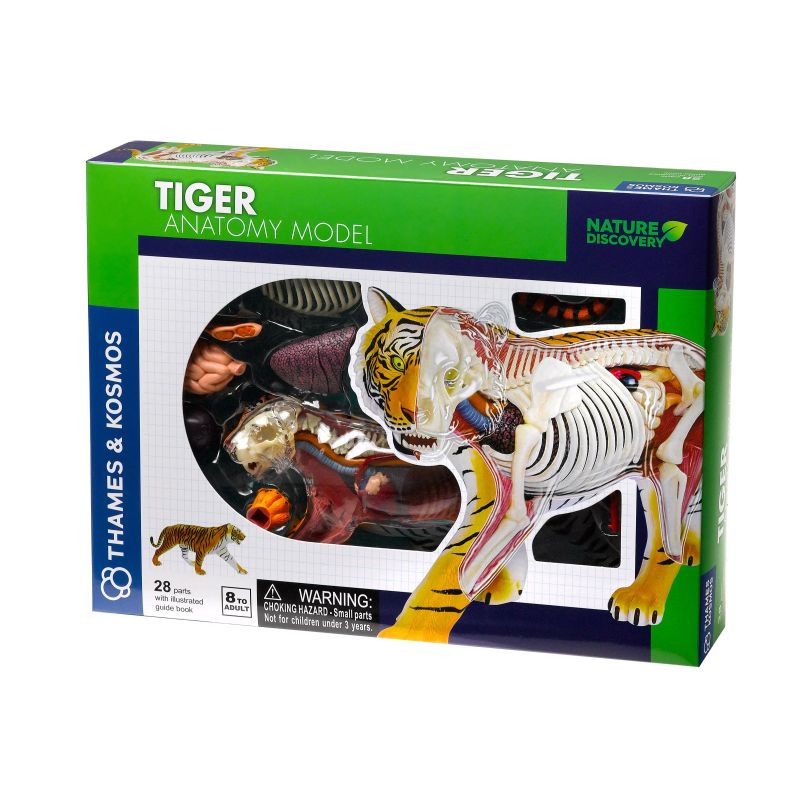 NATURE DISCOVERY Tiger Anatomy (261050)