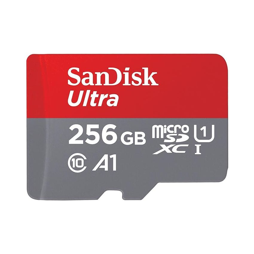 SanDisk memory card 256 GB
