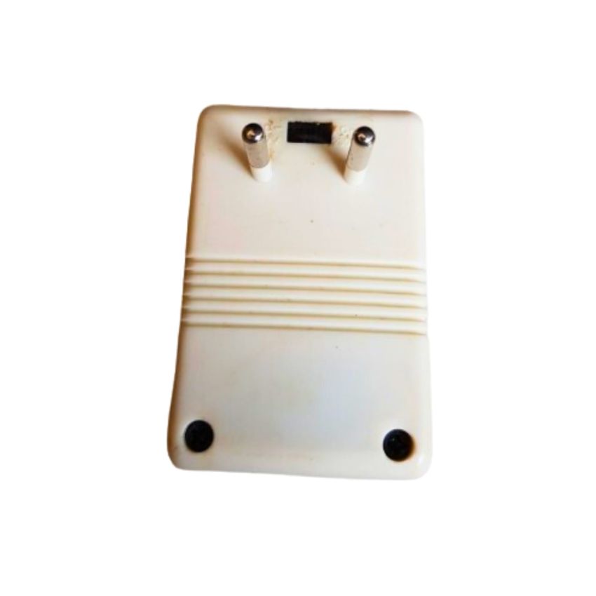 NF-60 Foreign Electricity AC-AC Converter, 60W Max - Automatic Thermal Fuse Protection for Global Voltage Conversion