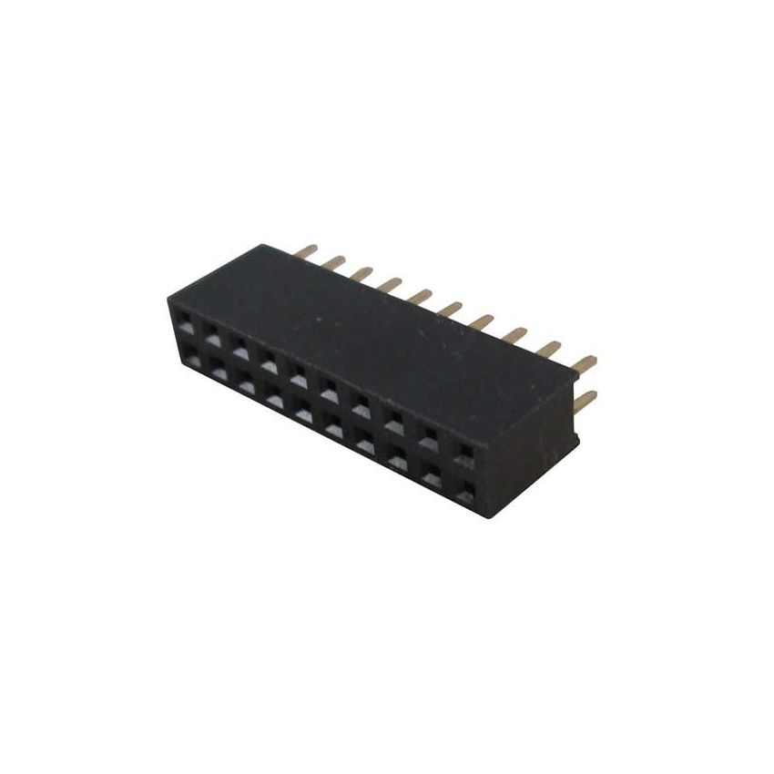 2 X10 PIN FEMALE DOUBLE ROW SMD PIN HEADER