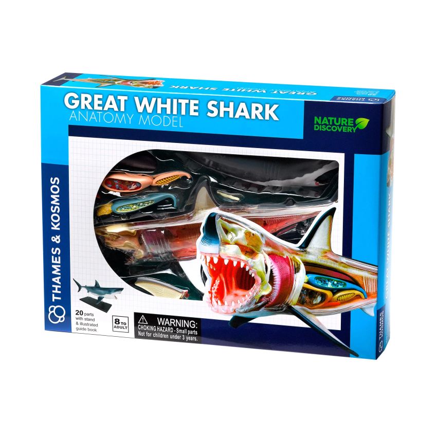 NATURE DISCOVERY Great White Shark Anatomy (261110)